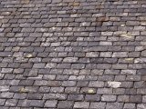 Lochendshingles_1319