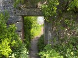 WalledGarden_0175a