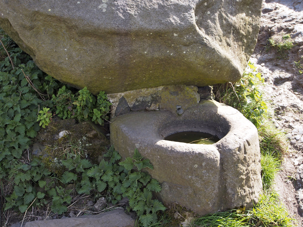 KingArthursPark_0052.jpg - St. Anthony's Well is one of 2 natural springs near St. Anthony's Chapel in Holyrood Park. We wondered what the significance of the 3 pronged carving on the basin was. It's obviously really old & we saw similar markings later.