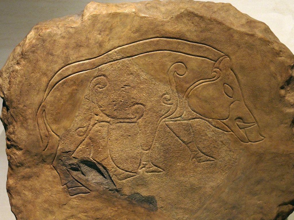 museum_0055.jpg - A beautiful Pictish stone in the Edinburgh museum.