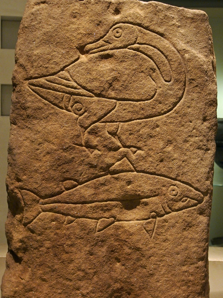 museum_0056.jpg - Another Pictish stone.