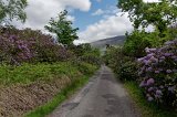 GlenEtive_0538_DxO