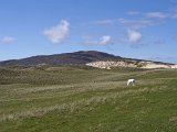 Luskentyre_0095a