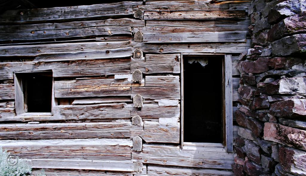 E-017a.jpg - log and stone construction detail